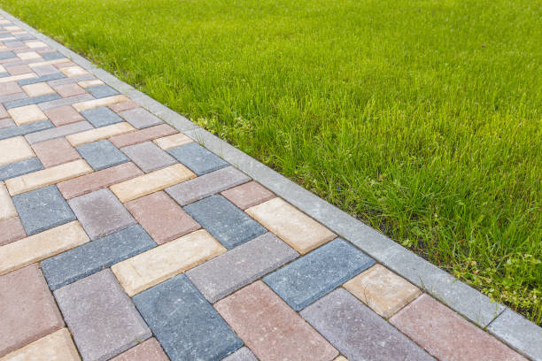 Best Driveway Paving Contractor  in Conning Towers Nautilus Park, CT